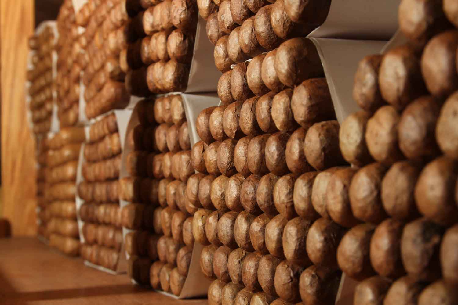 Dominican Cigar Production Tops 8 Billion Units