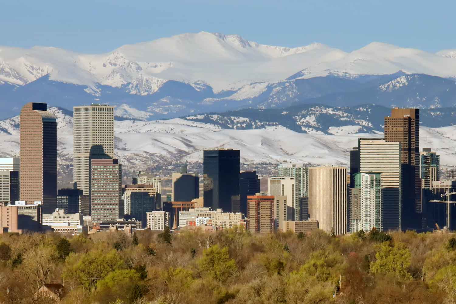 Denver Flavor Ban to be Decided by Voters