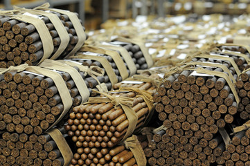 U.S. Tops List for Importing Dominican Cigars