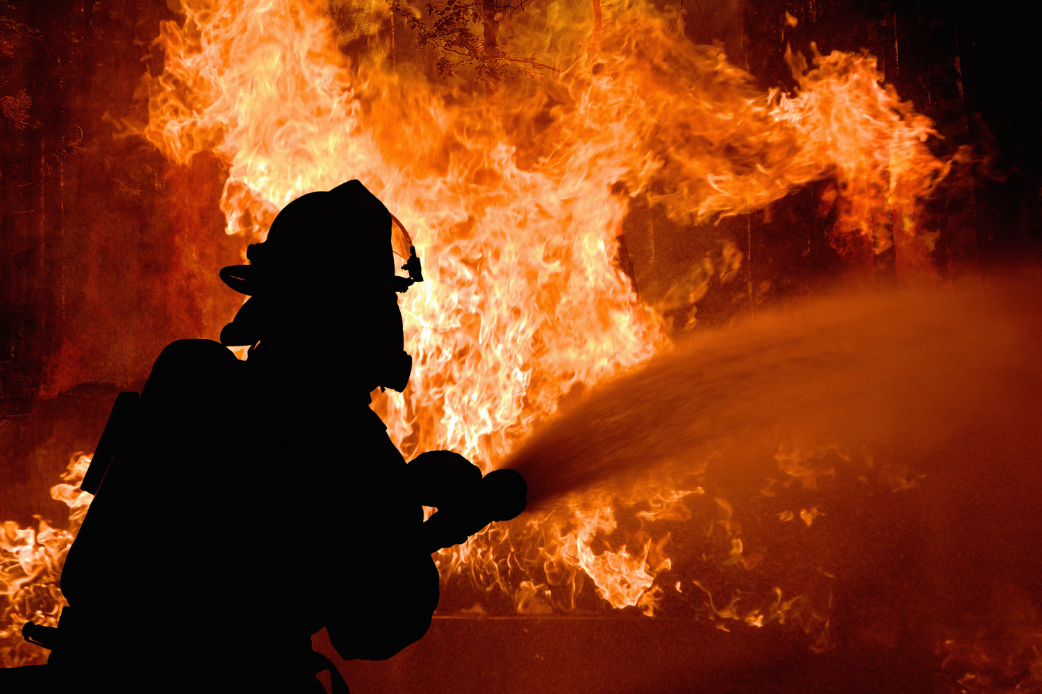 Fire Destroys Dominican Cigar Factories