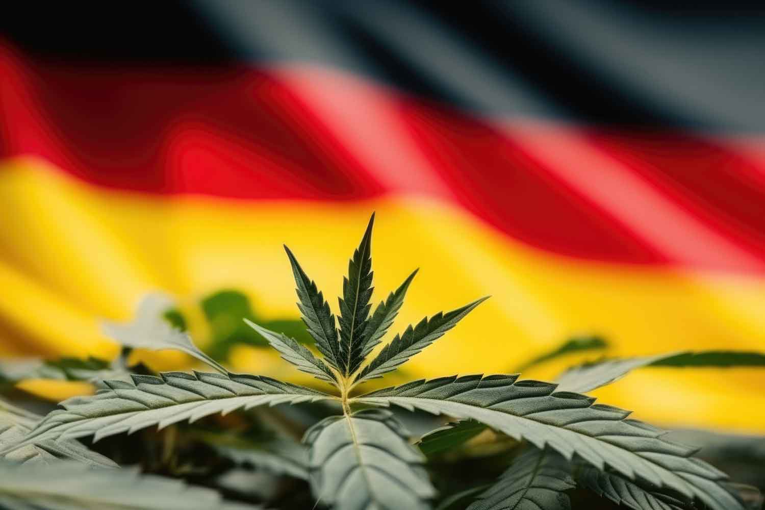 Germany Legalizes Recreational Marijuana