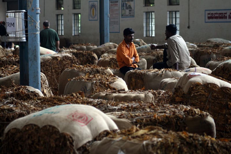 Indian Growers Hopeful for Better Prices