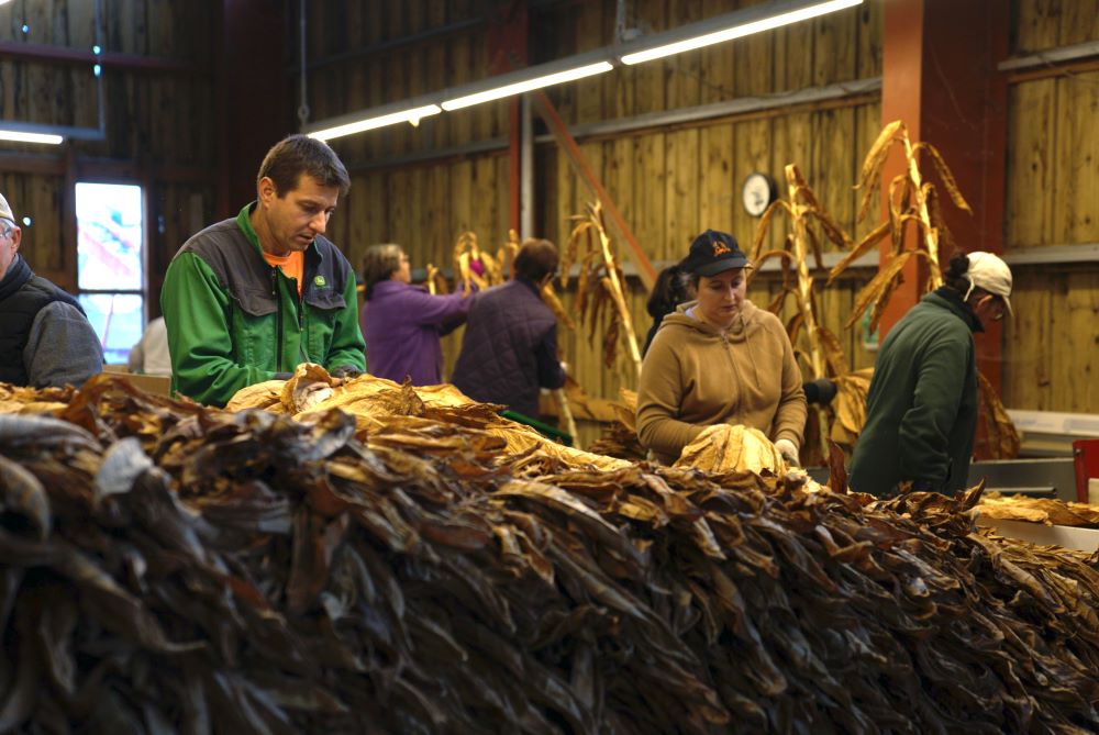 India: BJP Leader Condemns Exploitative Prices