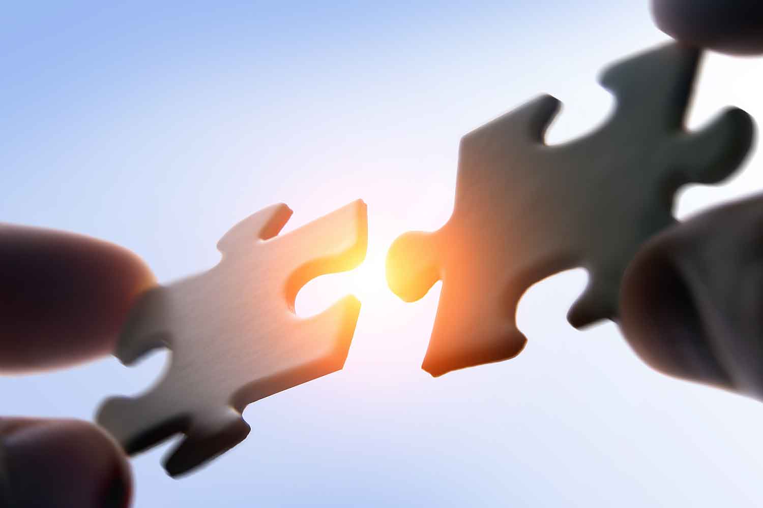 Japan Tobacco Acquires Vector Group