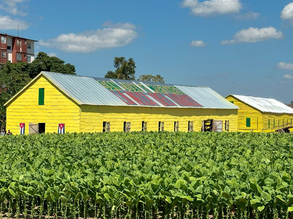 Breaking Through Barriers