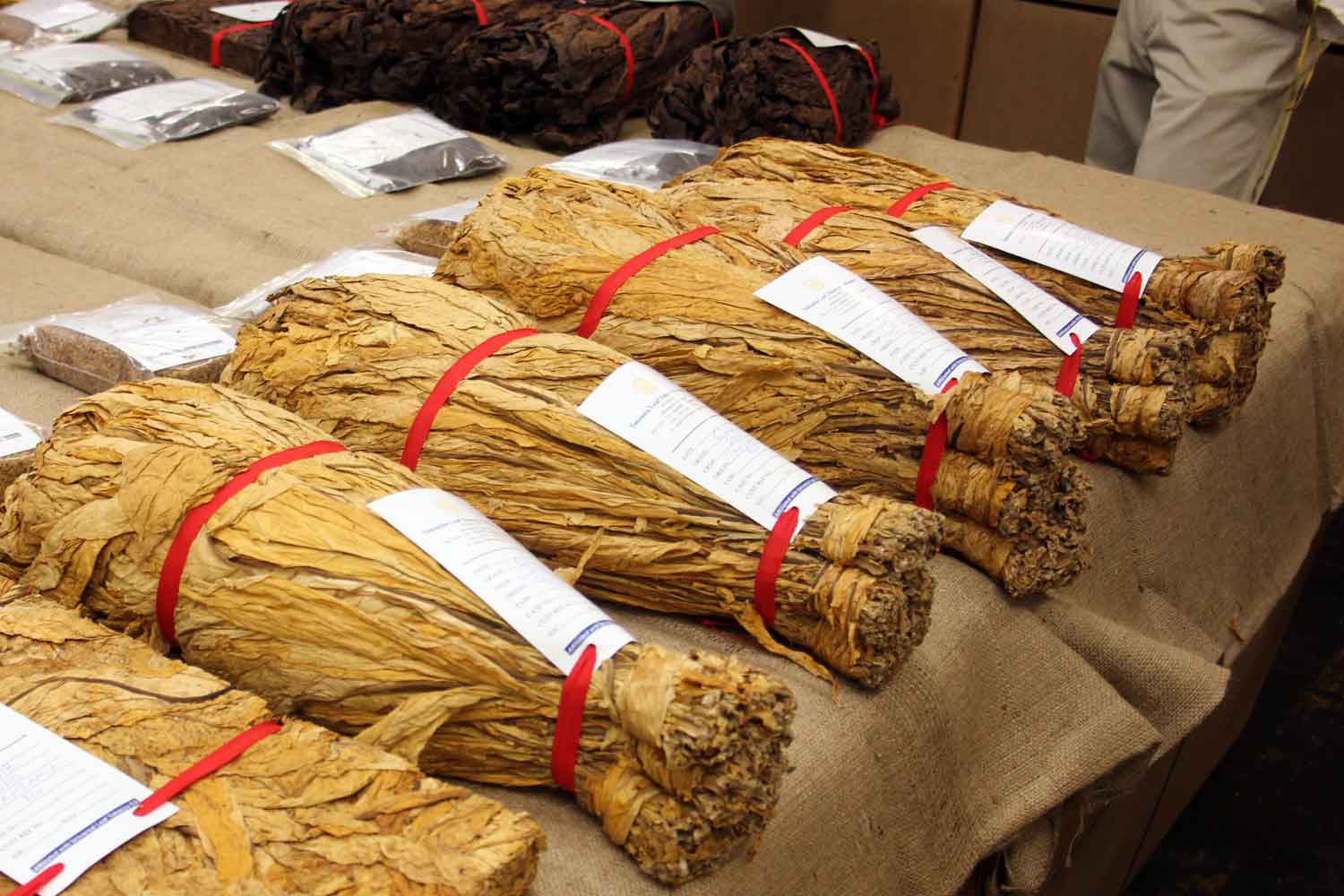 Strong Start for Universal’s Tobacco