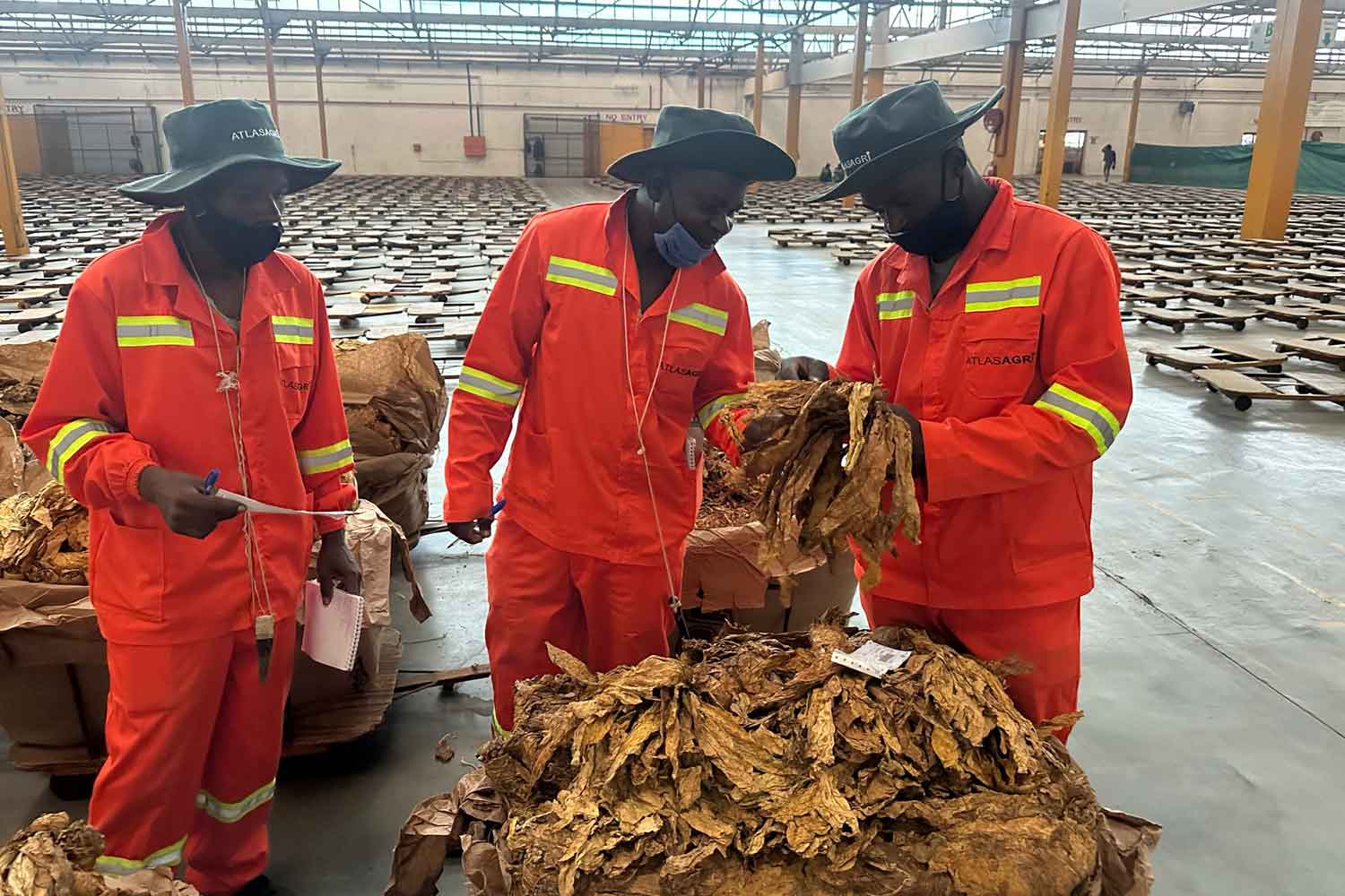 TIMB: Zimbabwe Can Produce 17B Cigarettes